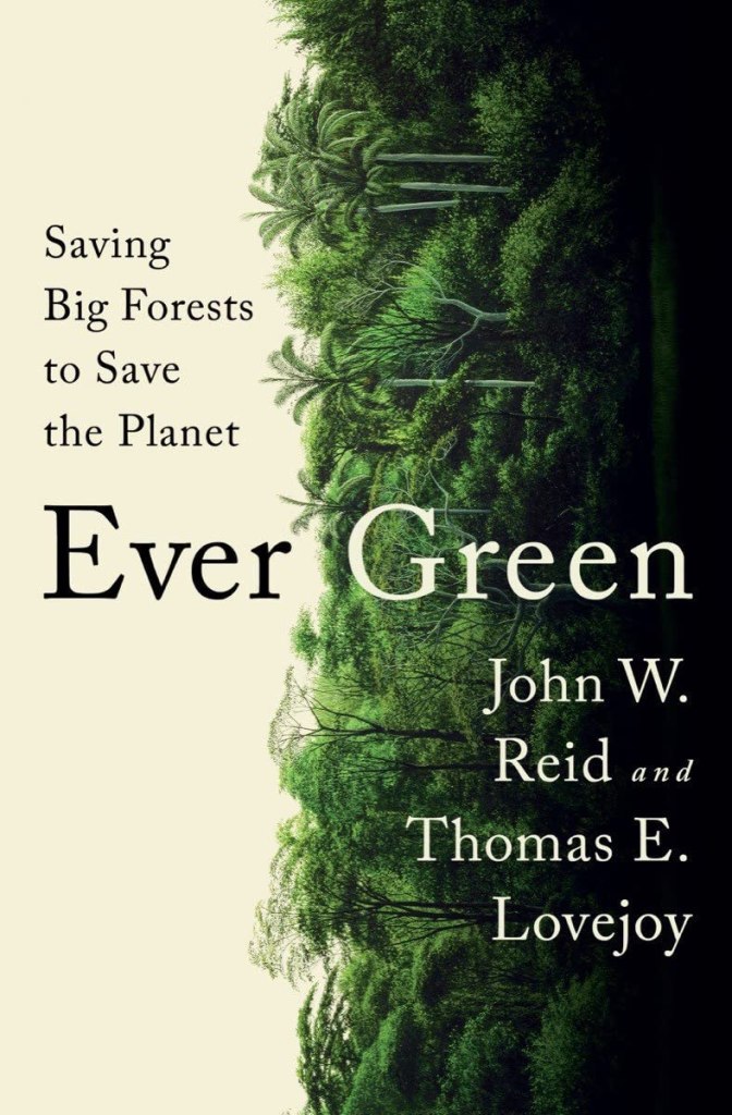 Cover of Ever Green