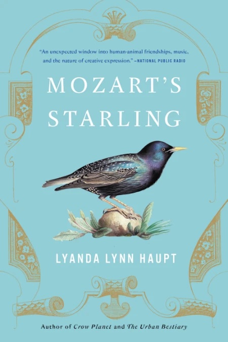 Cover of Mozart's Starling showing a European starling perched on a small rock. 