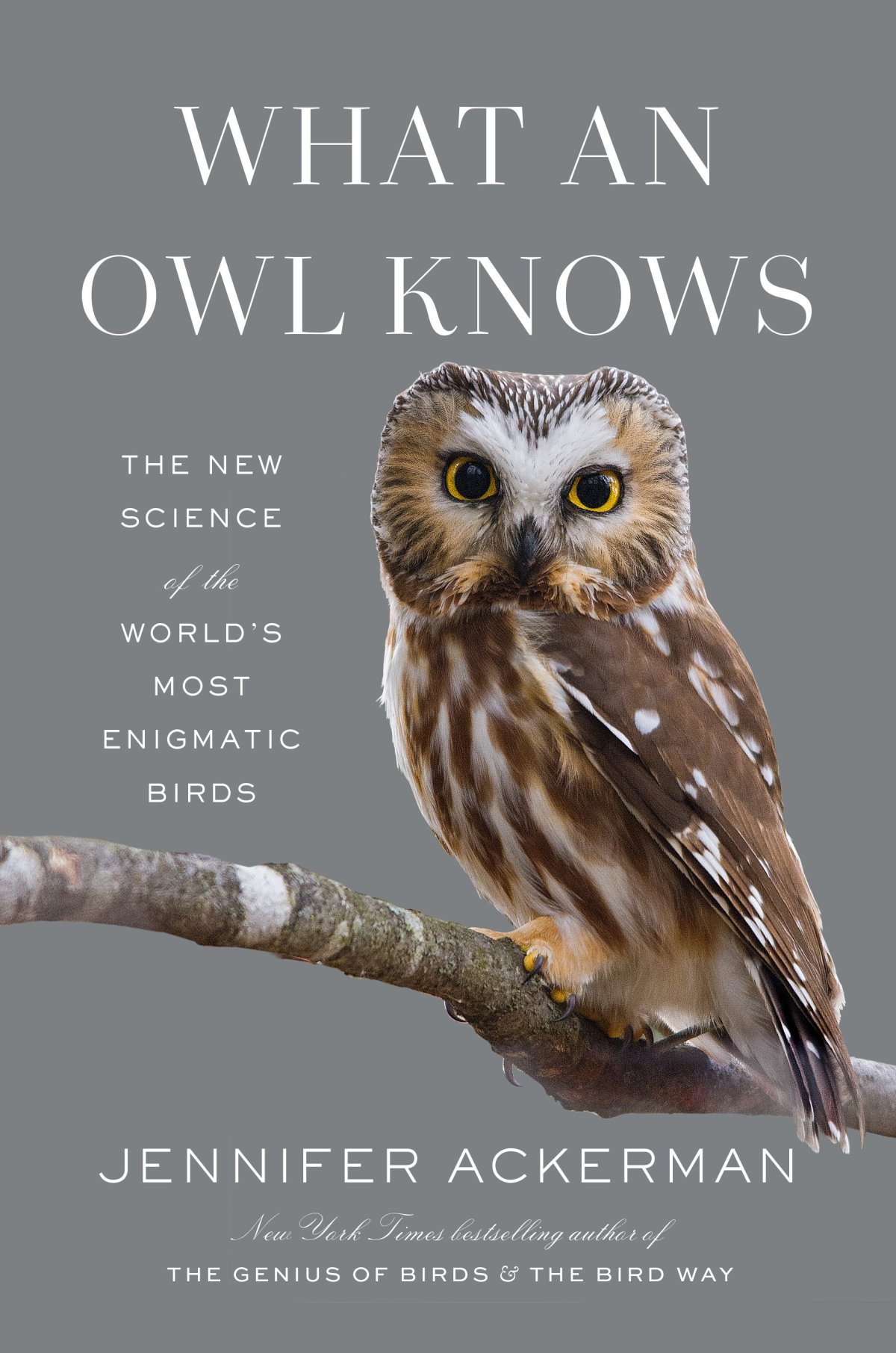 What an Owl Knows